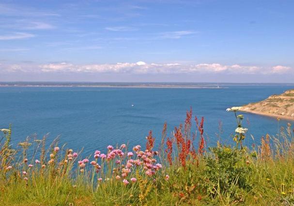 Crofton House Garden Apartment Ryde  Kültér fotó